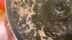 Тайны подземного царства корней и микробов. Часть первая.