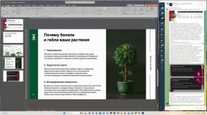 Ответ на вопрос