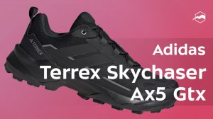 Кроссовки Adidas Terrex Skychaser Ax5 Gtx