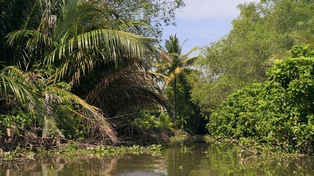 Rau Ram Canal | Can Tho, Vietnam смотреть онлайн