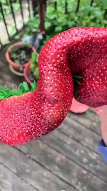 Эффектная клубника смотреть онлайн