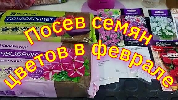 Рассада подрастает🌸. Посеяла новые цветочки. Продолжаю заполнять свой стеллаж. смотреть онлайн