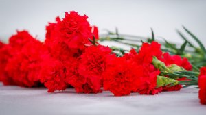 Из-за мороза отменили возложение цветов, посвященное Дню окончания Сталинградской битвы