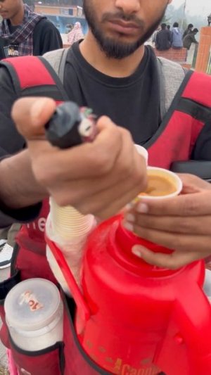 Каждый зарабатывает, как может