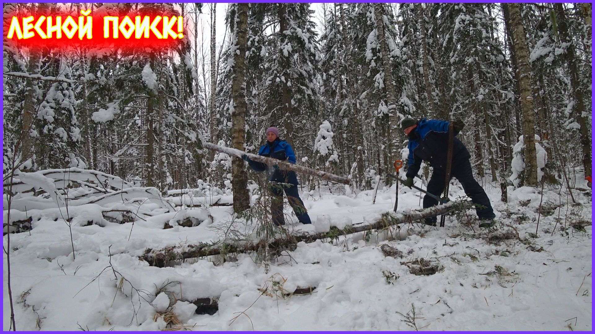 ВЫВОЗИМ ИЗ ЛЕСА МЕТАЛЛОЛОМ! РЕЗУЛЬТАТ НАС ПОРАДОВАЛ! смотреть онлайн
