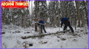 ВЫВОЗИМ ИЗ ЛЕСА МЕТАЛЛОЛОМ! РЕЗУЛЬТАТ НАС ПОРАДОВАЛ!