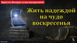 Христос Воскрес и мы воскреснем! А. В. Дмитриев. МСЦ ЕХБ