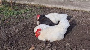 EGOIST /Топ 3 наших расходов.