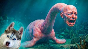 ТАЛАССОФОБИЯ!! ПЕЧАЛЬНАЯ ИСТОРИЯ ЕГО ПОЯВЛЕНИЯ!