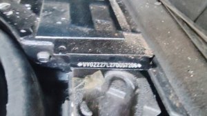 туарег -брутал