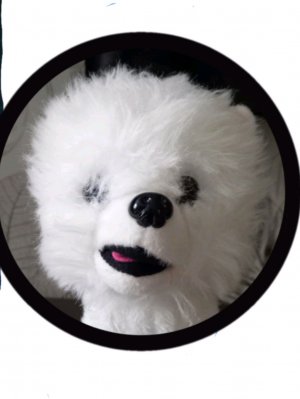 разговор о важном