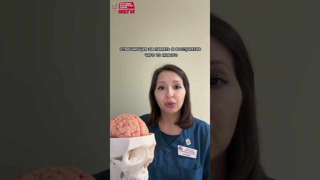 Дежавю может быть признаком эпилепсии! #доктор #врач#медицина #меги