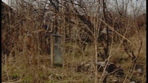 Про заброшку