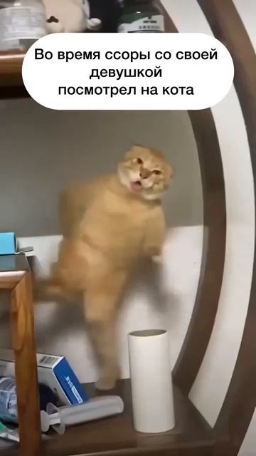 Кот останется со мной) смотреть онлайн