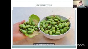 ОНЛАЙН САДОВОДСТВО  С ЕВГЕНИЕЙ ЧЕРНЫШОВОЙ  2.2 16:00