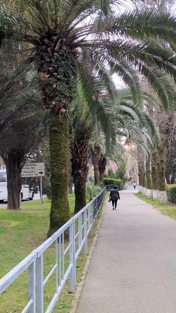 Весенний Адлер 2025