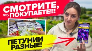 ПЕТУНИИ бывают очень разными