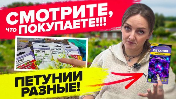 ПЕТУНИИ бывают очень разными