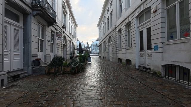 Атмосферный Брюссель зимой неспешная прогулка по центру города ❄️🏛️