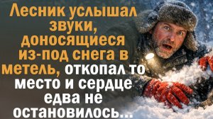 Лесник услышал звуки, доносящиеся из-под снега в метель, откопал то место и сердце едва не