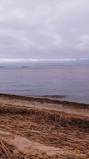 1000017881.mp4 смотреть онлайн