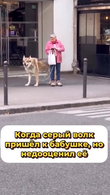 Теперь ты бабушкин пирожочек! смотреть онлайн