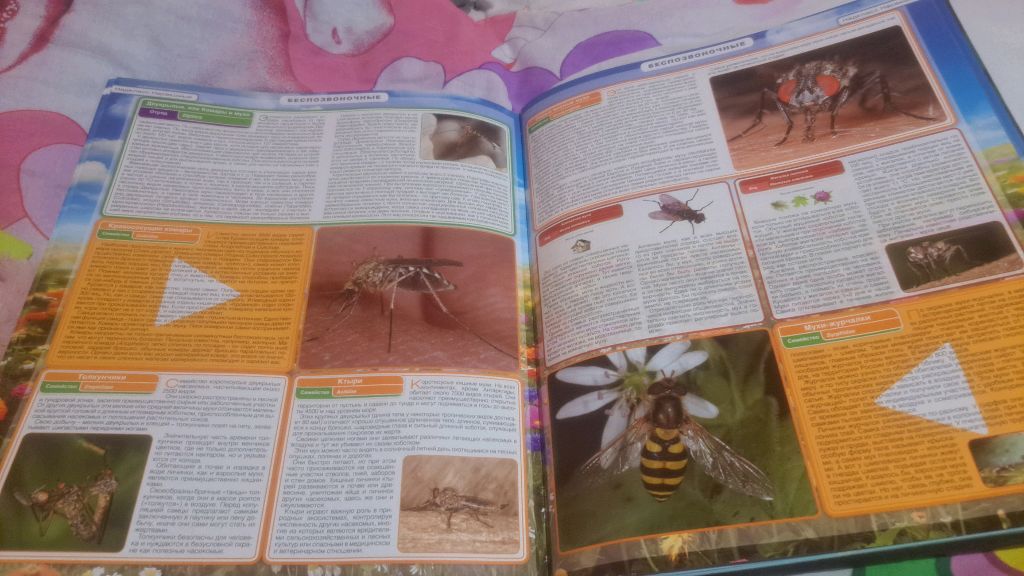 Читаю книжку про насекомых часть 2 смотреть онлайн
