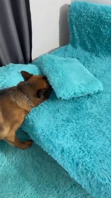 Хорошо спрятался смотреть онлайн