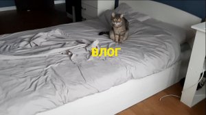 СНИМАТЬ ВИДЕО - ЭТО МОЁ ХОББИ