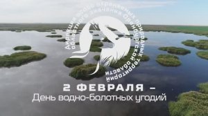 Заказник «Светлинский» | Об уникальности и красоте водно-болотных угодий.