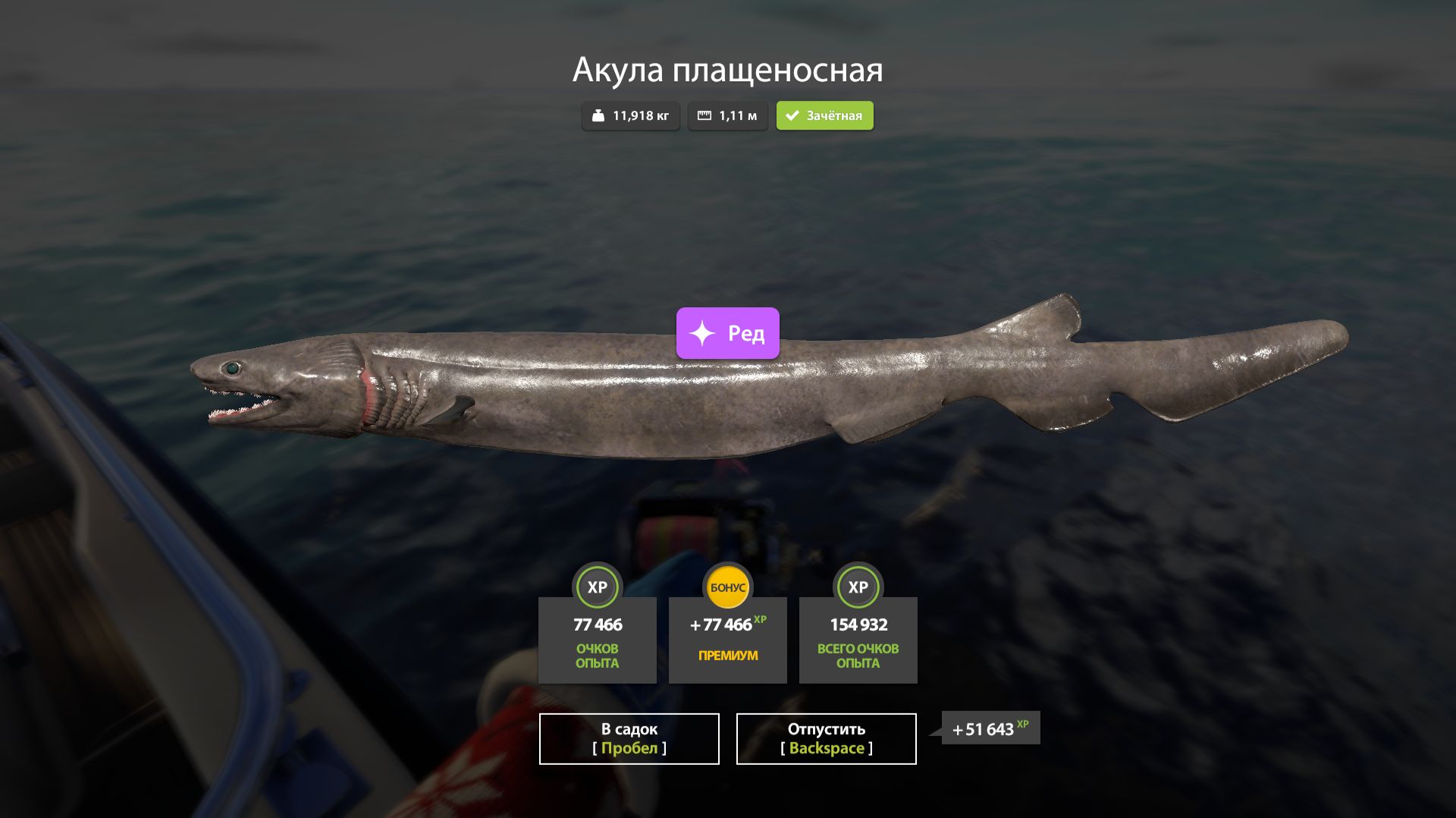 РР4 смотреть онлайн