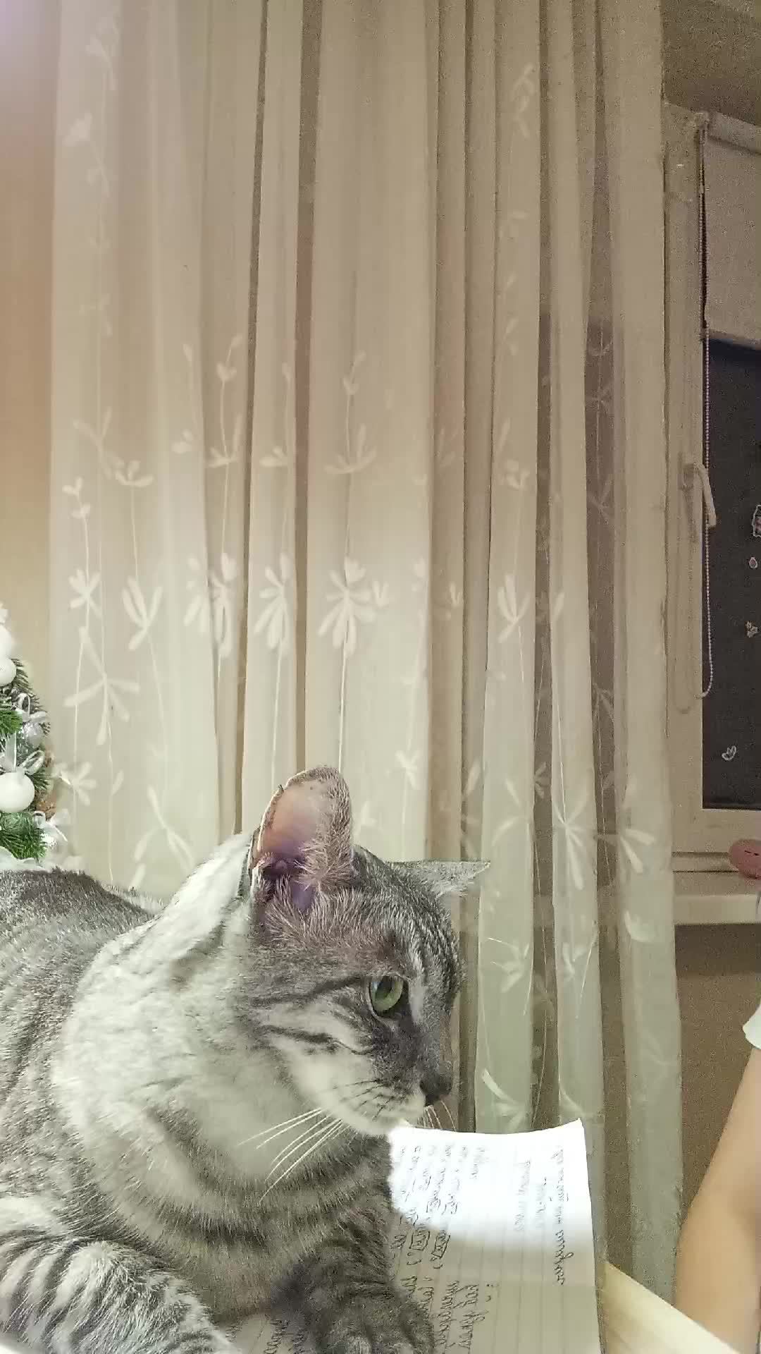 задавайте вопросы смотреть онлайн