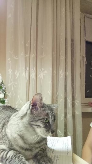 задавайте вопросы