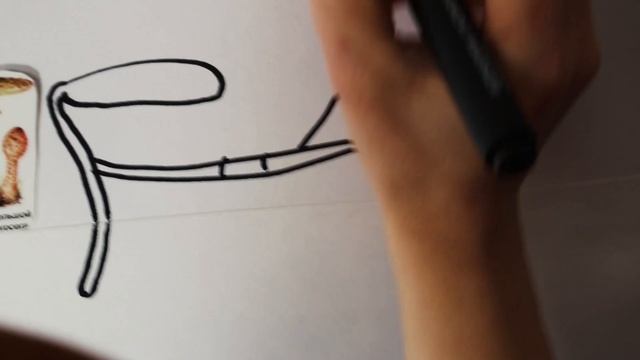 Творчество в Галерее музея грибов