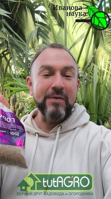 Хватит покупать!!! Делаем натуральный Эпин своими руками: суперсредство для рассады за 1 копейку.