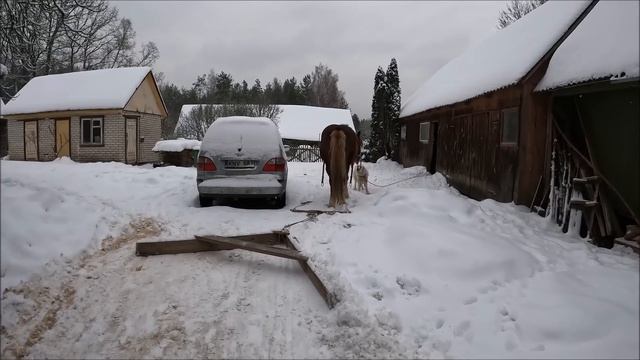 Лесной хутор/Ледяной дождь, снег, мороз и цены в магазине. Зимние забавы на хуторе. смотреть онлайн