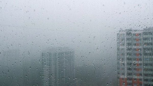 Soft Rain & Gentle Thunder | Rain