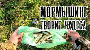 Убойный МОРМЫШИНГ. Такой КЛЁВ крупного ельца даже весной редкость. Наноджиг Ультралайт