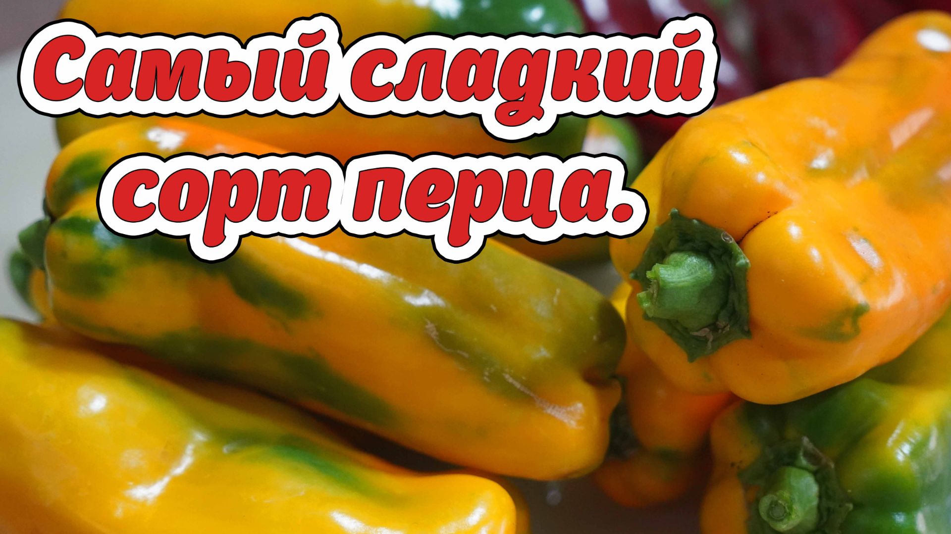 Сорта перца. Самый сладкий сорт перца. смотреть онлайн