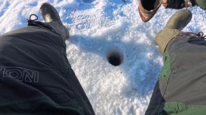 Плотва на мормышку,со льда, в мороз.