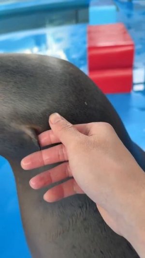 Подписываемся 😉