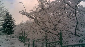 Немного из жизни за январь ч. 2 Макияж, уход, покупки...