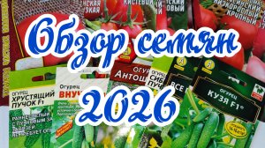 01.02.2026 // Обзор семян на 2026 сезон