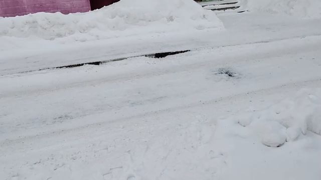 РУТУБ НЕ ПЛАТИТ ШАРЮСЬ НА МУСОРКЕ В ПОИСКЕ ЗАРАБОТКА, ОСТАЛОСЬ ТРИ МАЛЕНЬКИХ КУСОЧКА ХЛЕБА КАК ЖИТЬ? смотреть онлайн