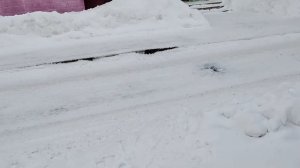 РУТУБ НЕ ПЛАТИТ ШАРЮСЬ НА МУСОРКЕ В ПОИСКЕ ЗАРАБОТКА, ОСТАЛОСЬ ТРИ МАЛЕНЬКИХ КУСОЧКА ХЛЕБА КАК ЖИТЬ?