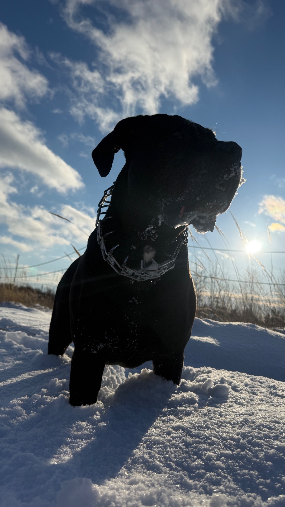 Эти глаза…😂 Моя бусинка❤️