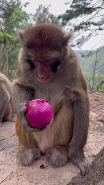 Сам ешь свой лук смотреть онлайн