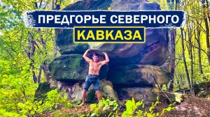 Переезжаю из Сибири на юг. Купил дом не там где хотел. Сад камней в окрестностях села Курджиново.