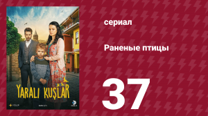 Раненые птицы 37 серия (сериал, 2019)
