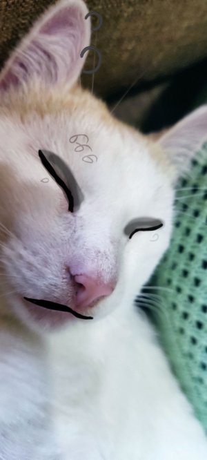 майнчик🏁🏴☠️‡